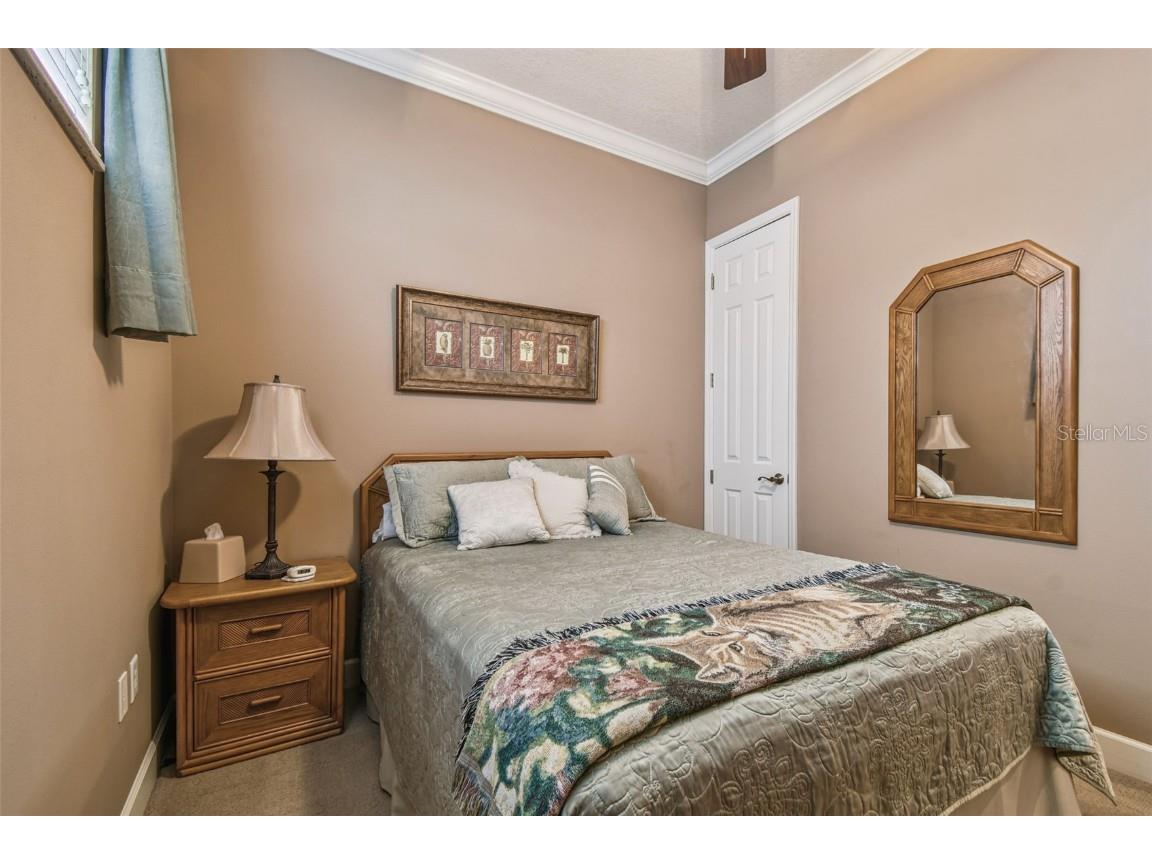 21738 Ocean Pines Drive Land O Lakes FL 34639 - LAKE SAXON TB8394490 image36