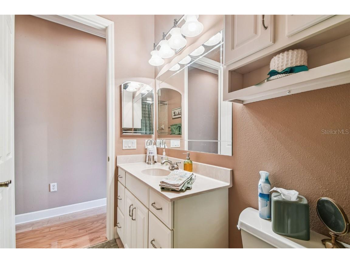 21738 Ocean Pines Drive Land O Lakes FL 34639 - LAKE SAXON TB8394490 image42