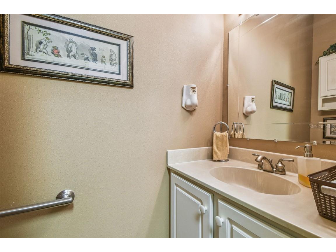 21738 Ocean Pines Drive Land O Lakes FL 34639 - LAKE SAXON TB8394490 image53