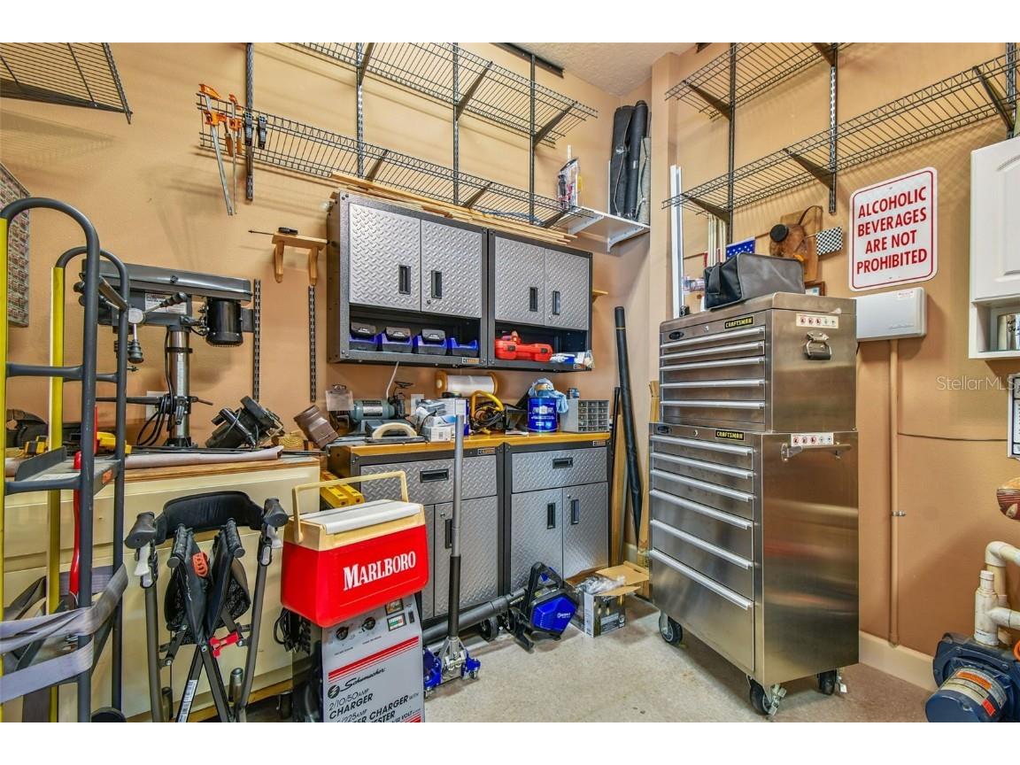 21738 Ocean Pines Drive Land O Lakes FL 34639 - LAKE SAXON TB8394490 image59