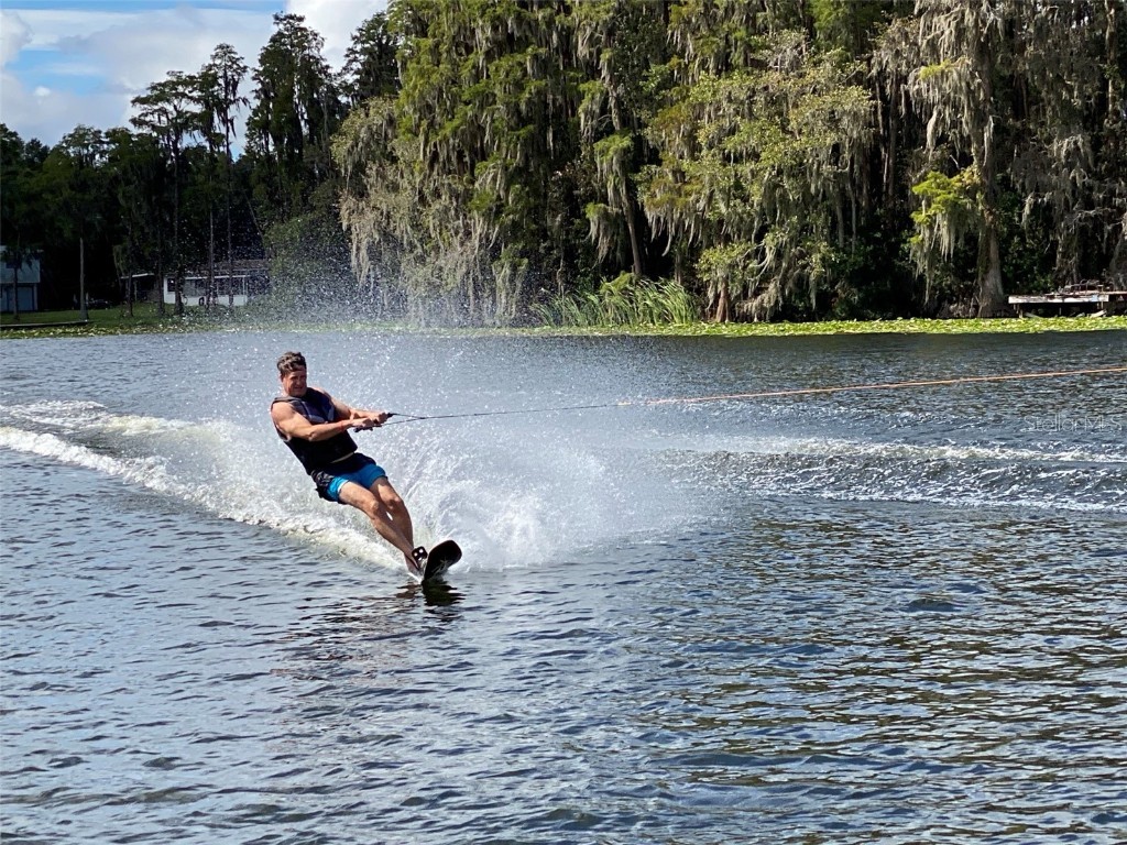 21738 Ocean Pines Drive Land O Lakes FL 34639 - LAKE SAXON TB8394490 image82