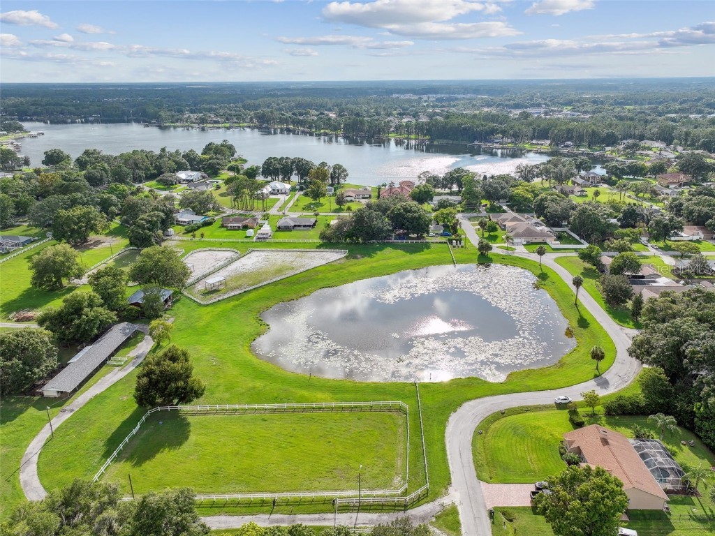 21738 Ocean Pines Drive Land O Lakes FL 34639 - LAKE SAXON TB8394490 image87