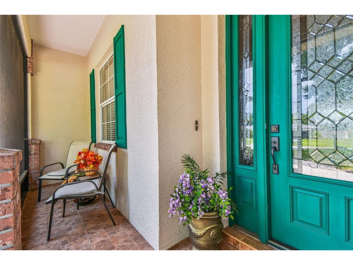 21738 Ocean Pines Drive Land O Lakes FL 34639 - LAKE SAXON TB8394490 image9