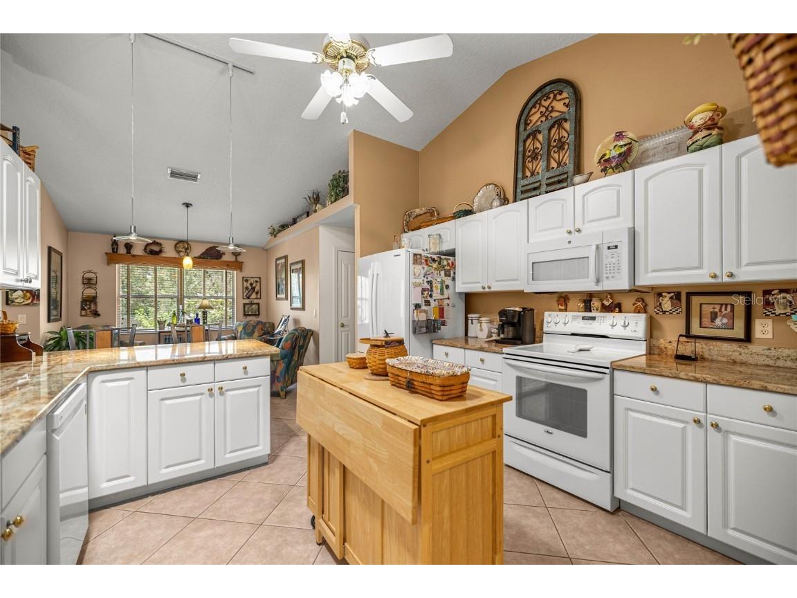 2174 E Celina Street Inverness FL 34453 TB8420824 image29