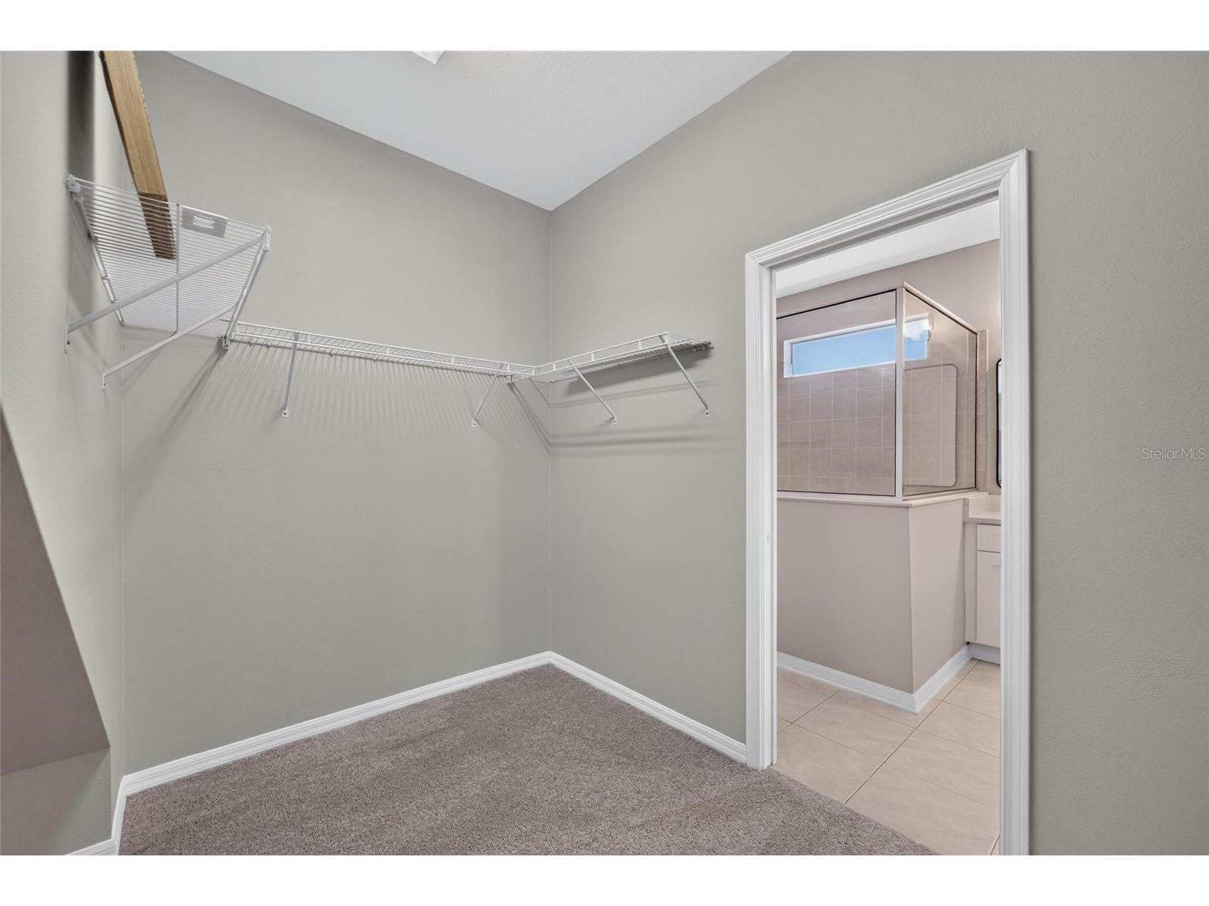 21744 Waverly Shores Lane Land O Lakes FL 34637 TB8521323 image22