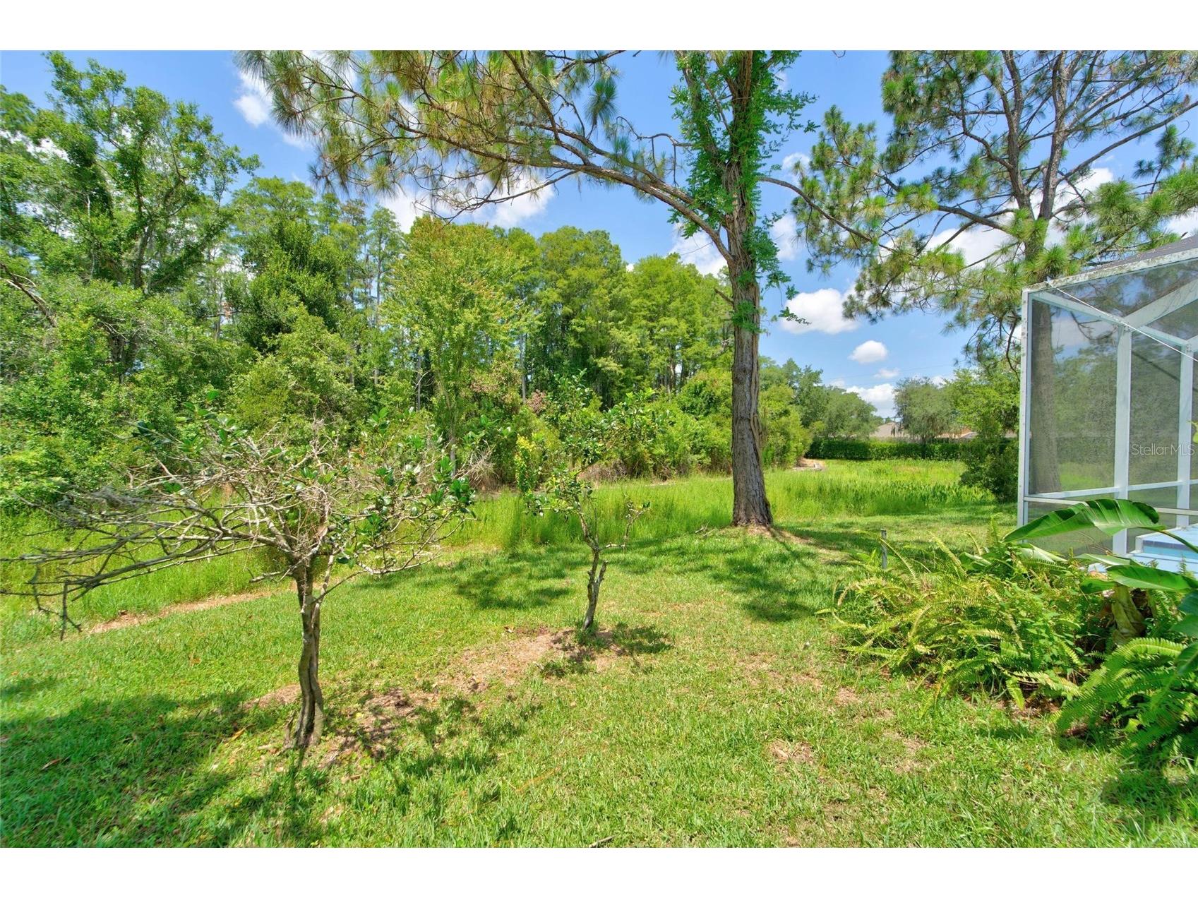 21744 Waverly Shores Lane Land O Lakes FL 34637 TB8521323 image38