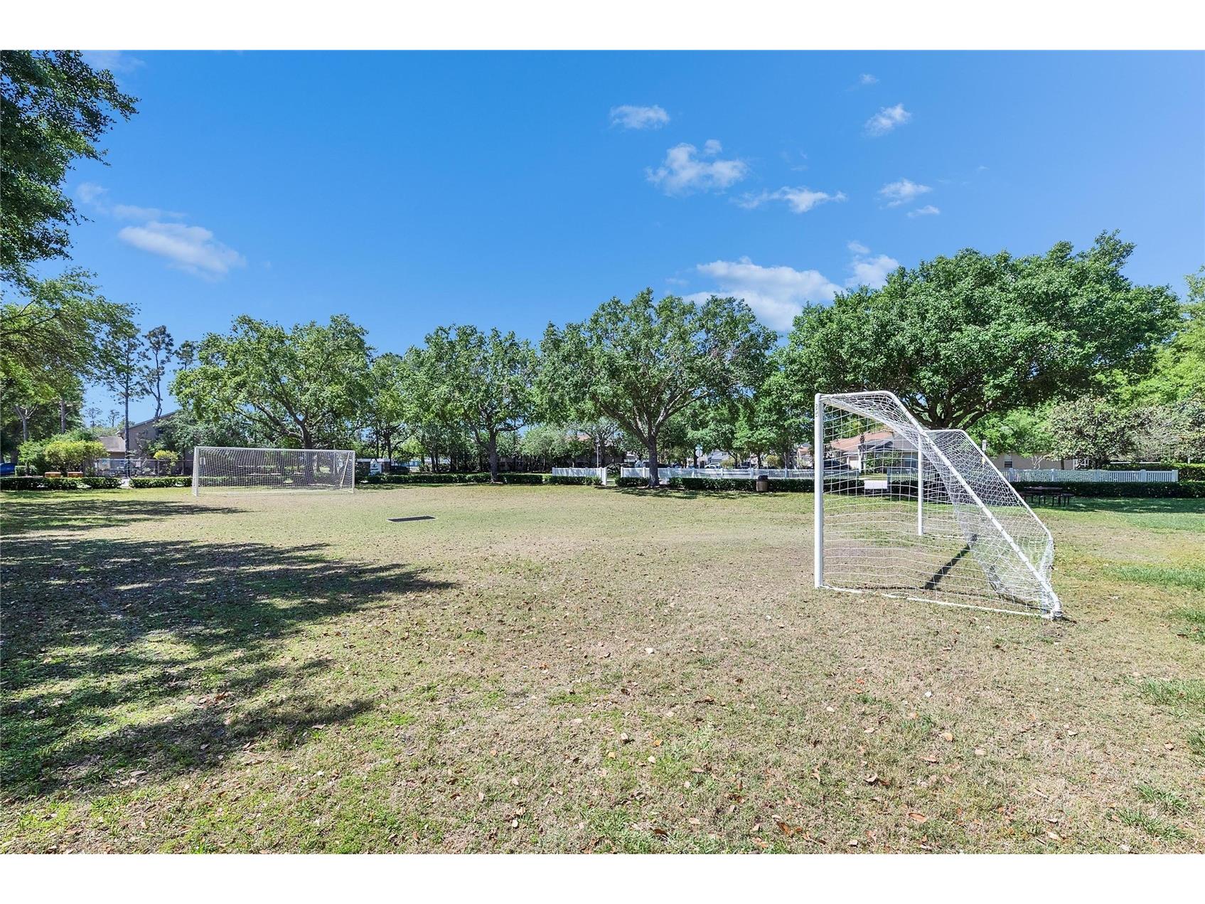 21744 Waverly Shores Lane Land O Lakes FL 34637 TB8521323 image42