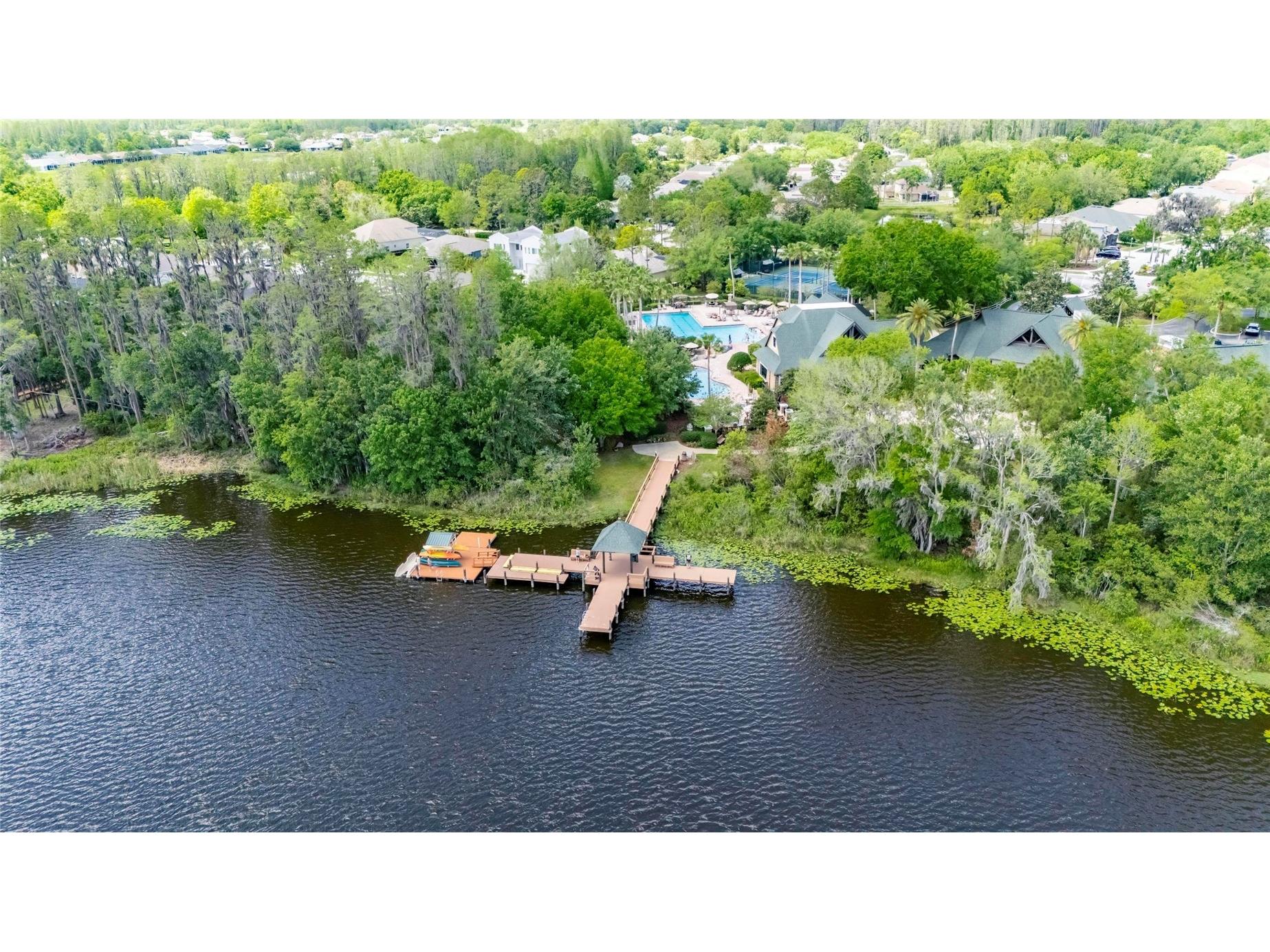 21744 Waverly Shores Lane Land O Lakes FL 34637 TB8521323 image59