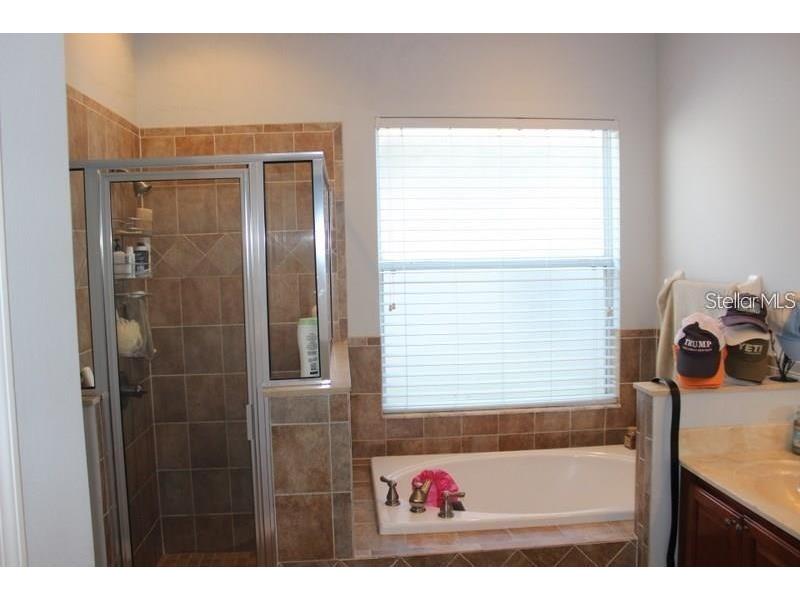 21745 Garden Walk Loop Land O Lakes FL 34637 TB8444184 image12