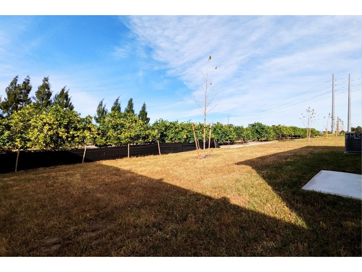 2175 Chris Drive Winter Haven FL 33884 OK225535 image23