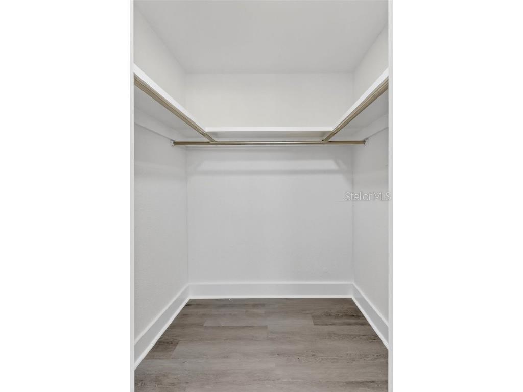 2175 Edythe Drive Dunedin FL 34698 W7875008 image24