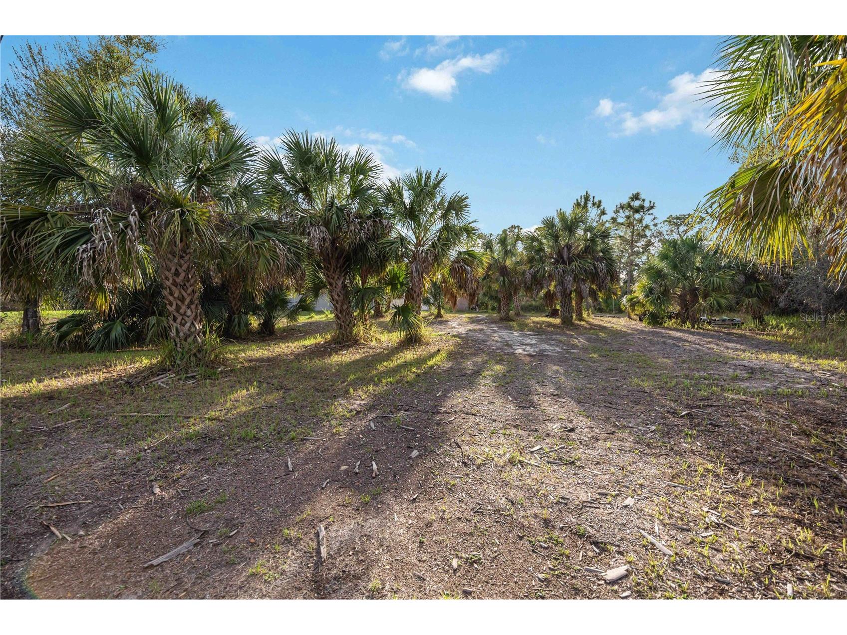 2175 Fernwood Street Port Charlotte FL 33948 A4685622 image2