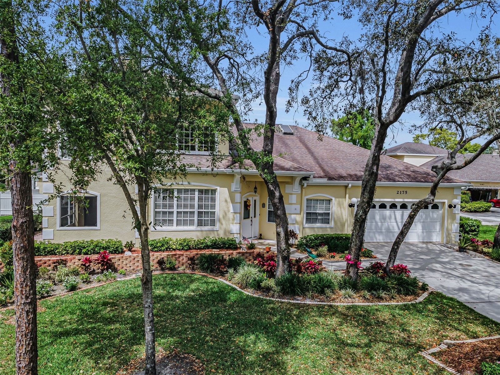 2175 Oak Forest Lane Palm Harbor FL 34683 TB8488436 image1