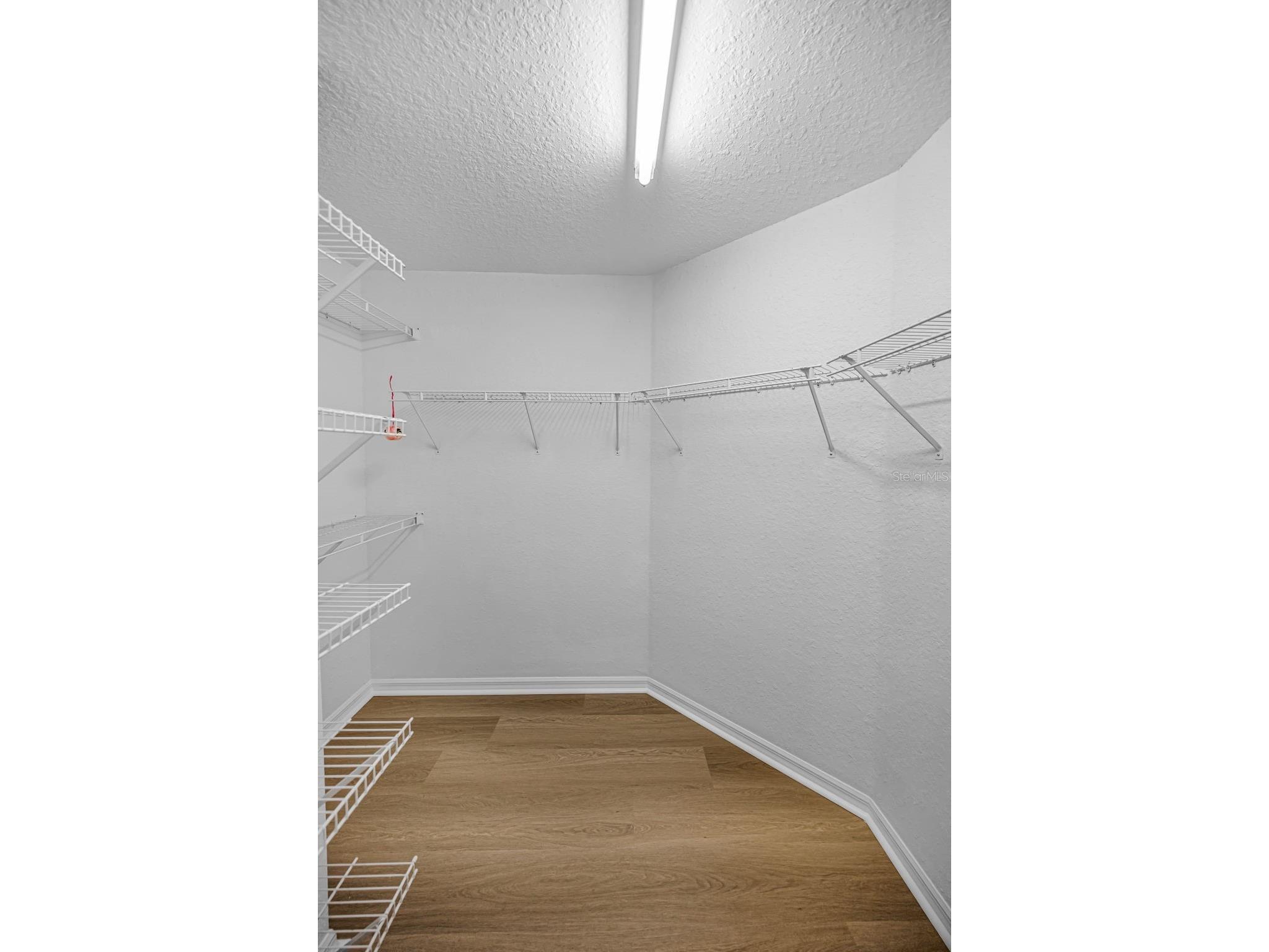 2175 Oak Forest Lane Palm Harbor FL 34683 TB8488436 image25