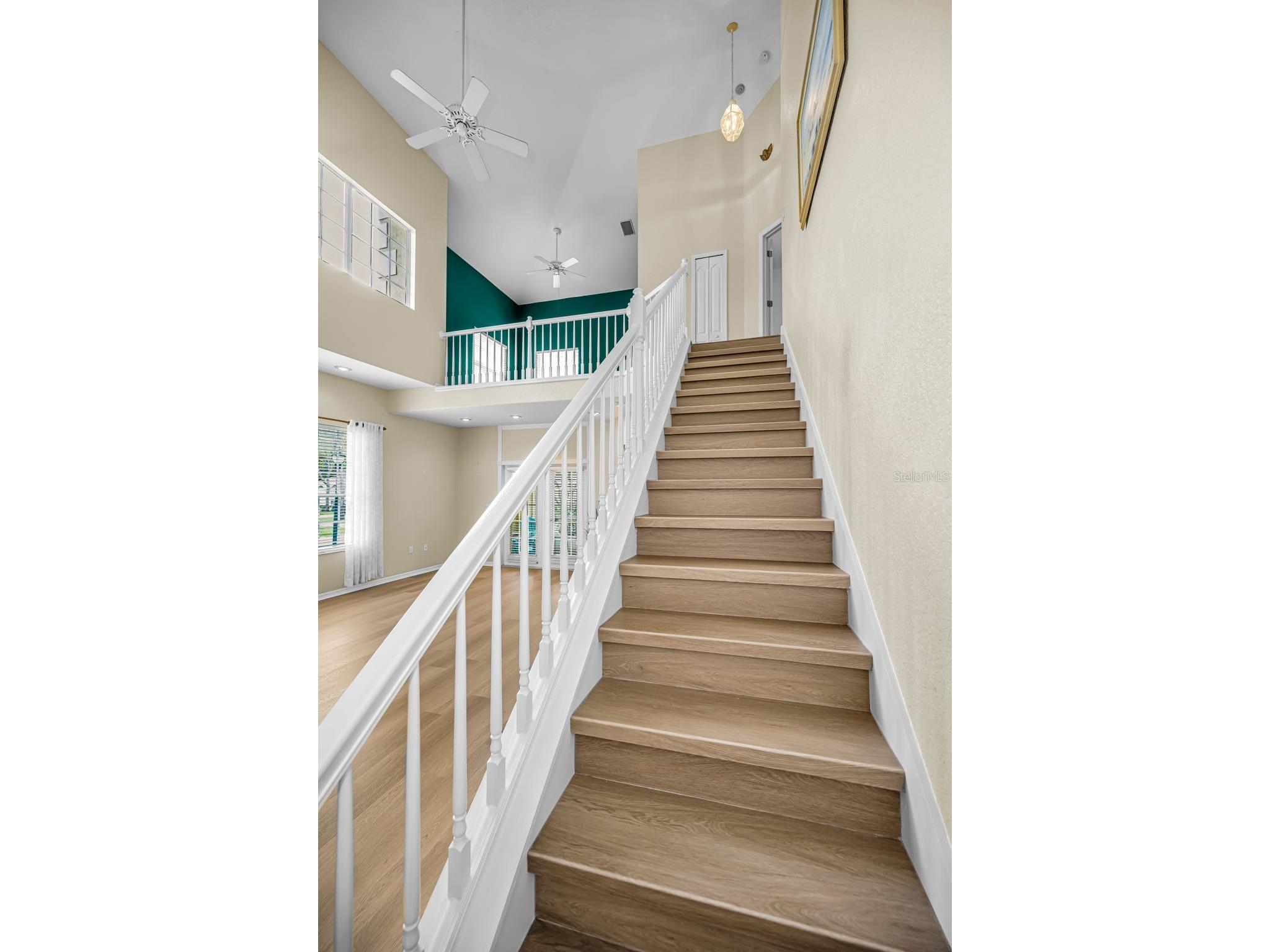 2175 Oak Forest Lane Palm Harbor FL 34683 TB8488436 image26