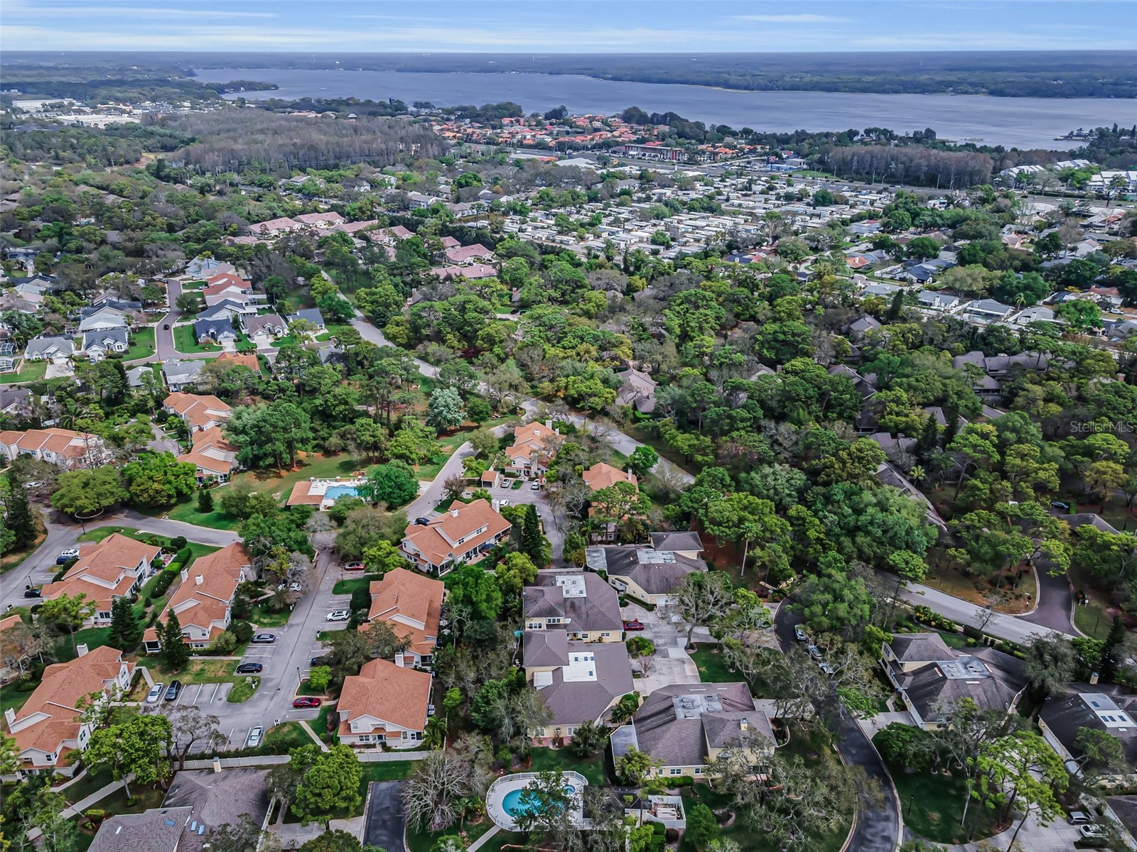 2175 Oak Forest Lane Palm Harbor FL 34683 TB8488436 image3
