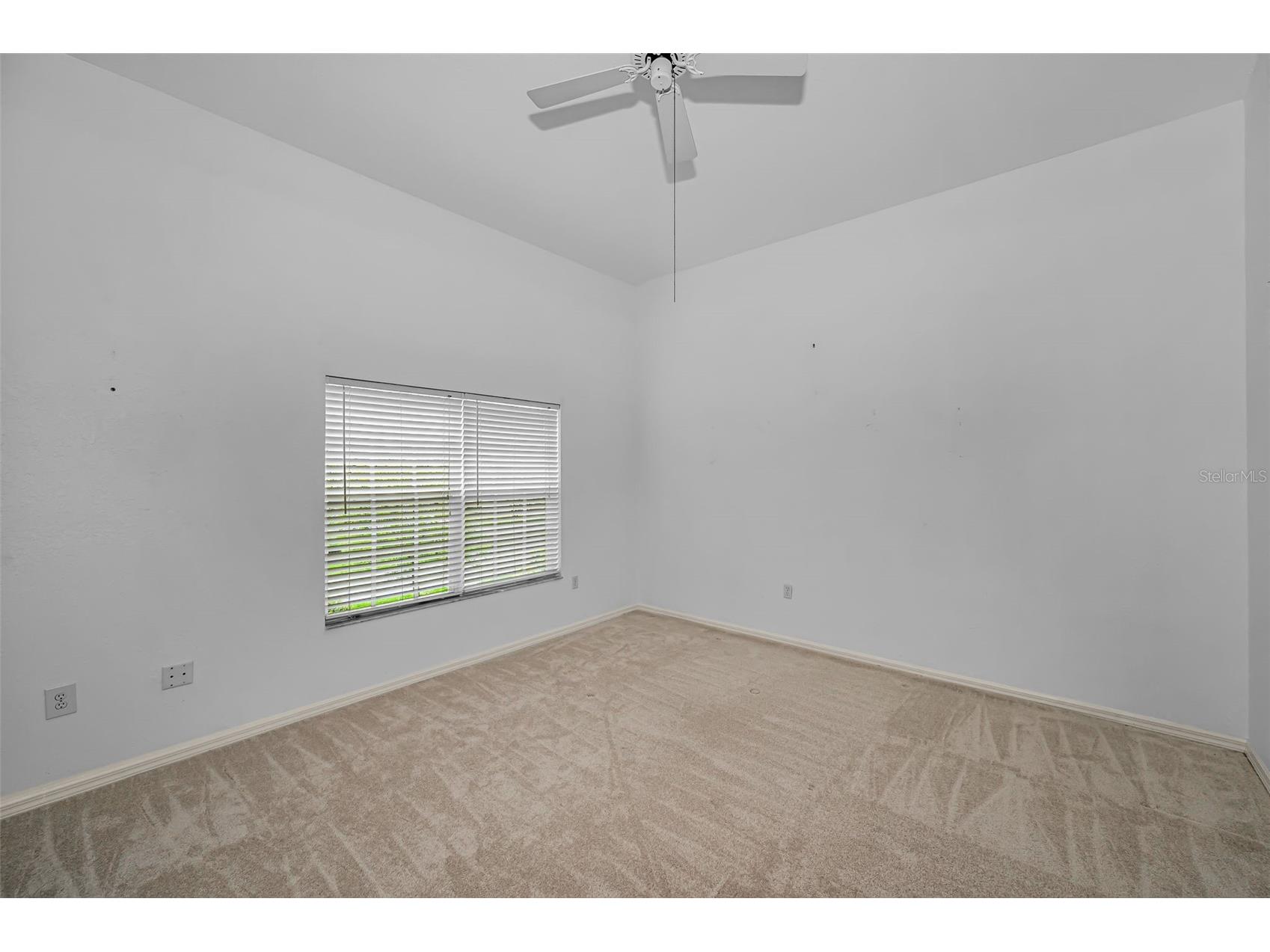 2175 Oak Forest Lane Palm Harbor FL 34683 TB8488436 image35