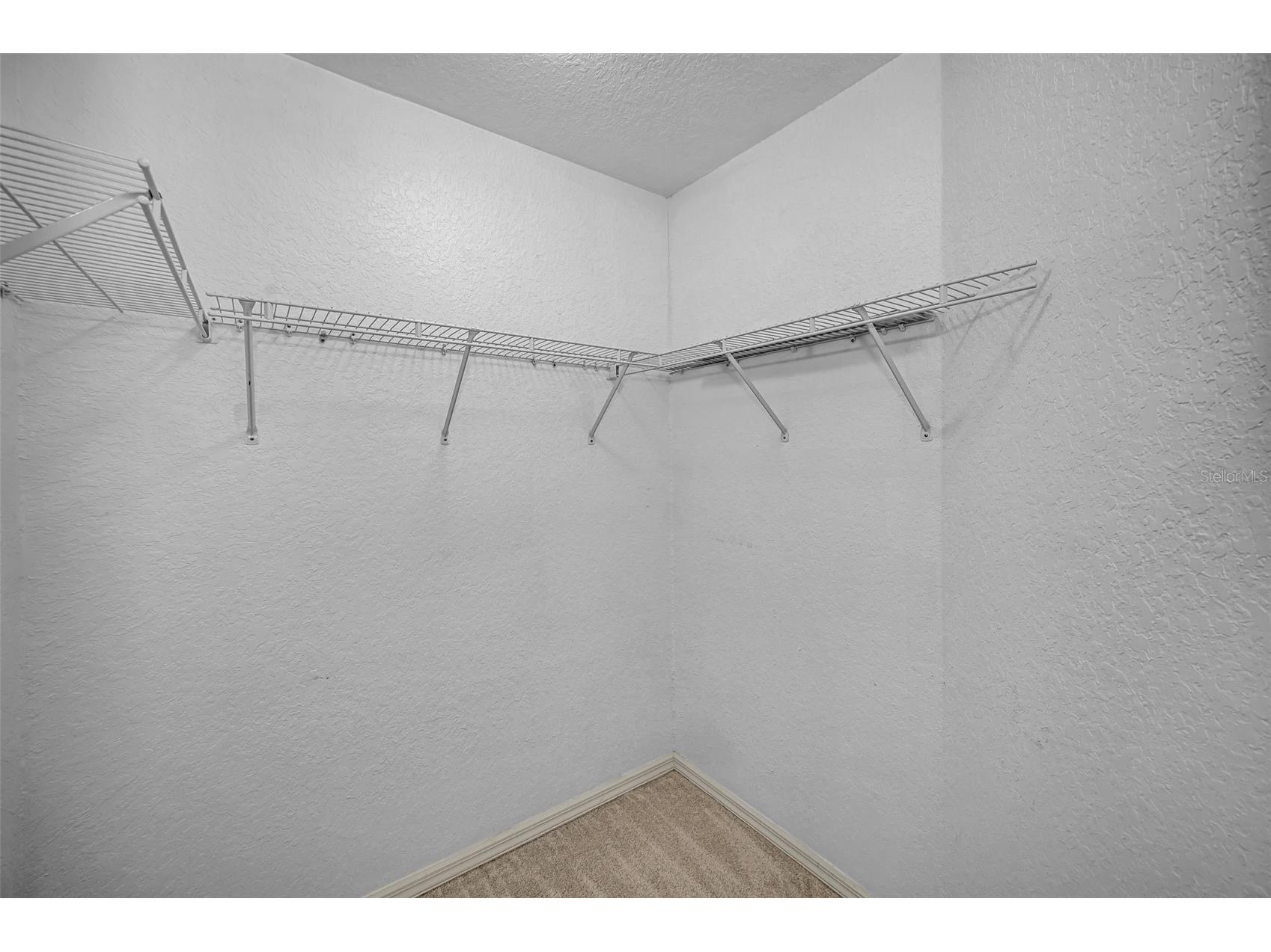 2175 Oak Forest Lane Palm Harbor FL 34683 TB8488436 image40