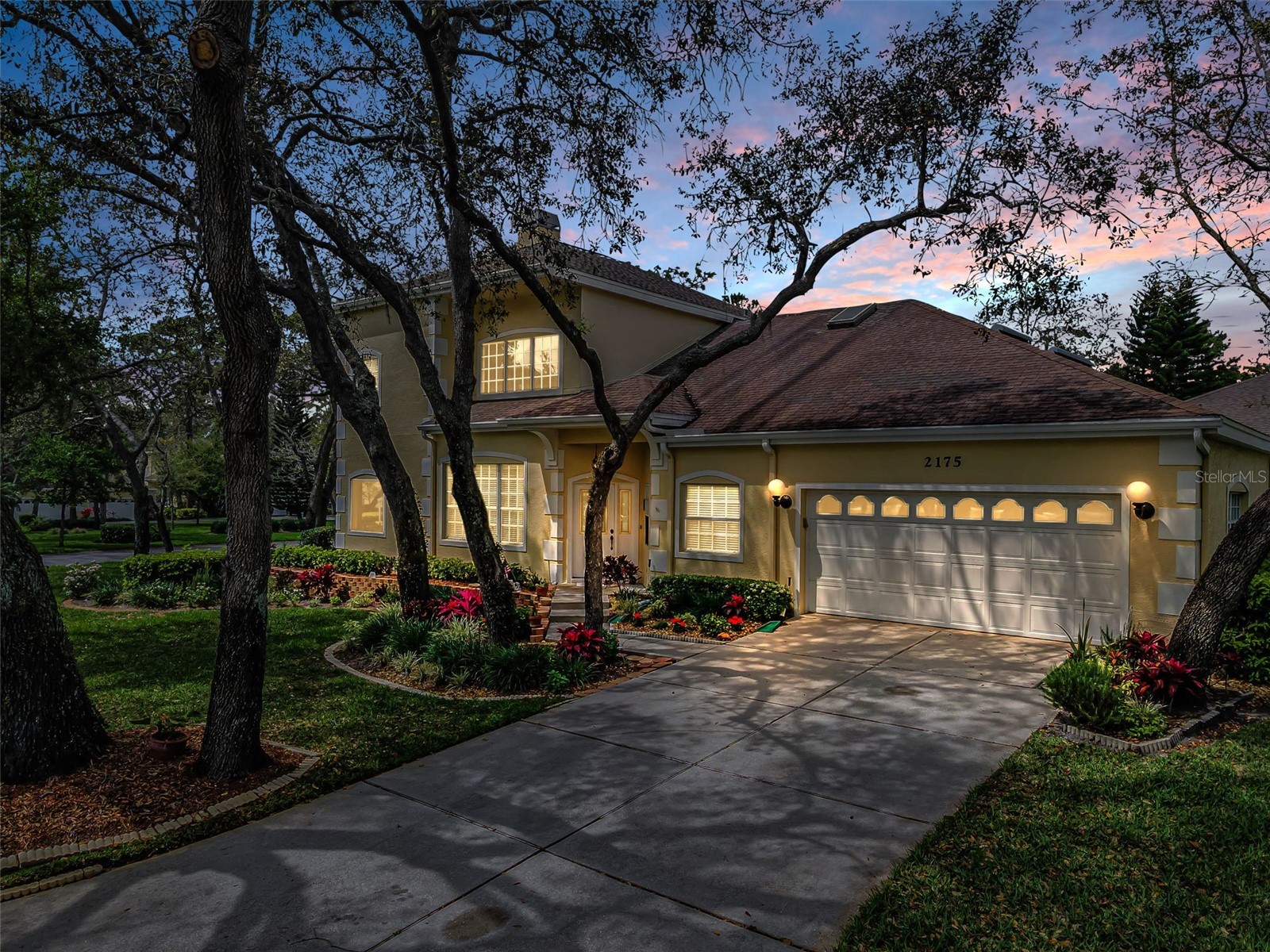 2175 Oak Forest Lane Palm Harbor FL 34683 TB8488436 image41