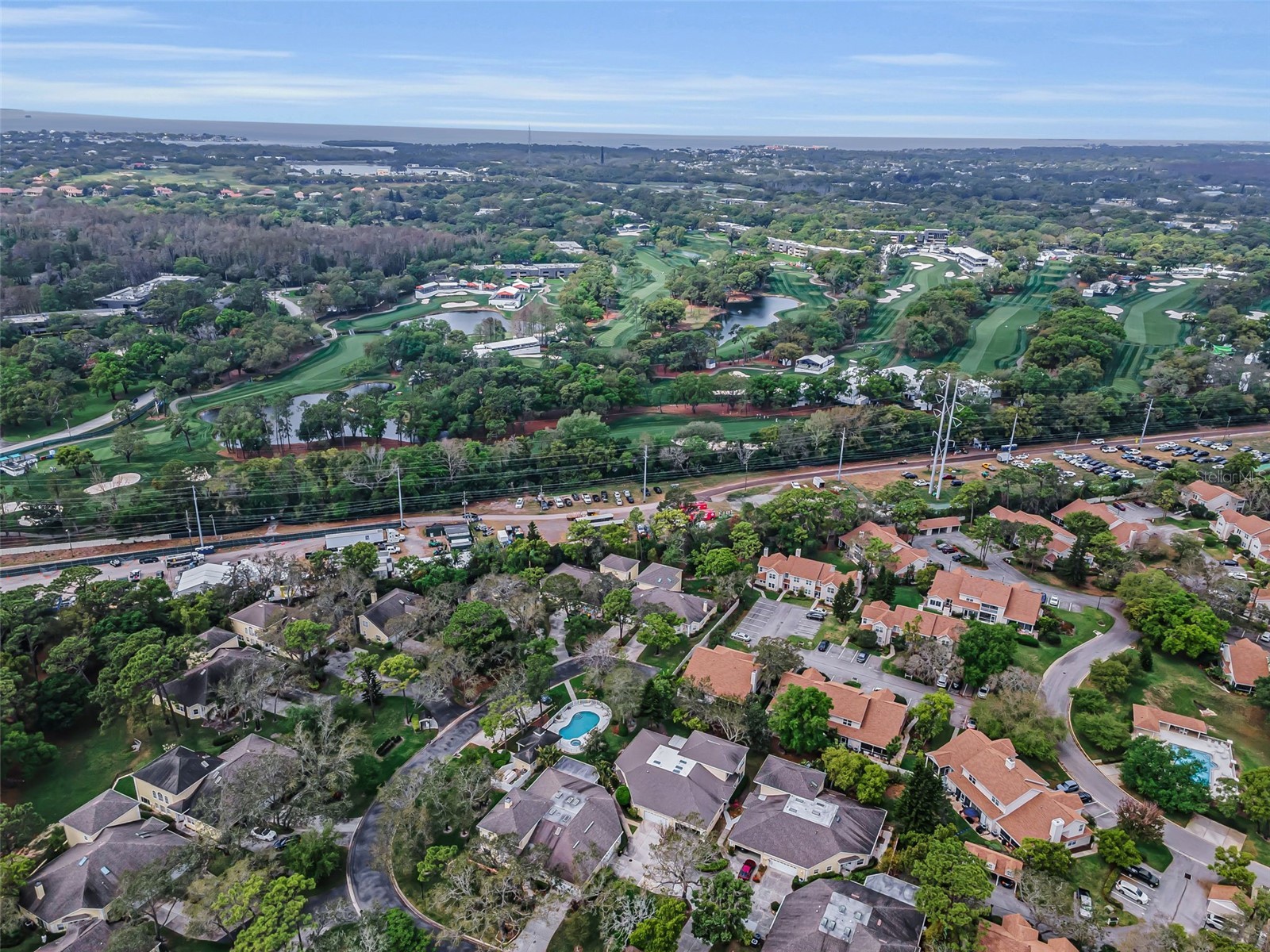 2175 Oak Forest Lane Palm Harbor FL 34683 TB8488436 image46
