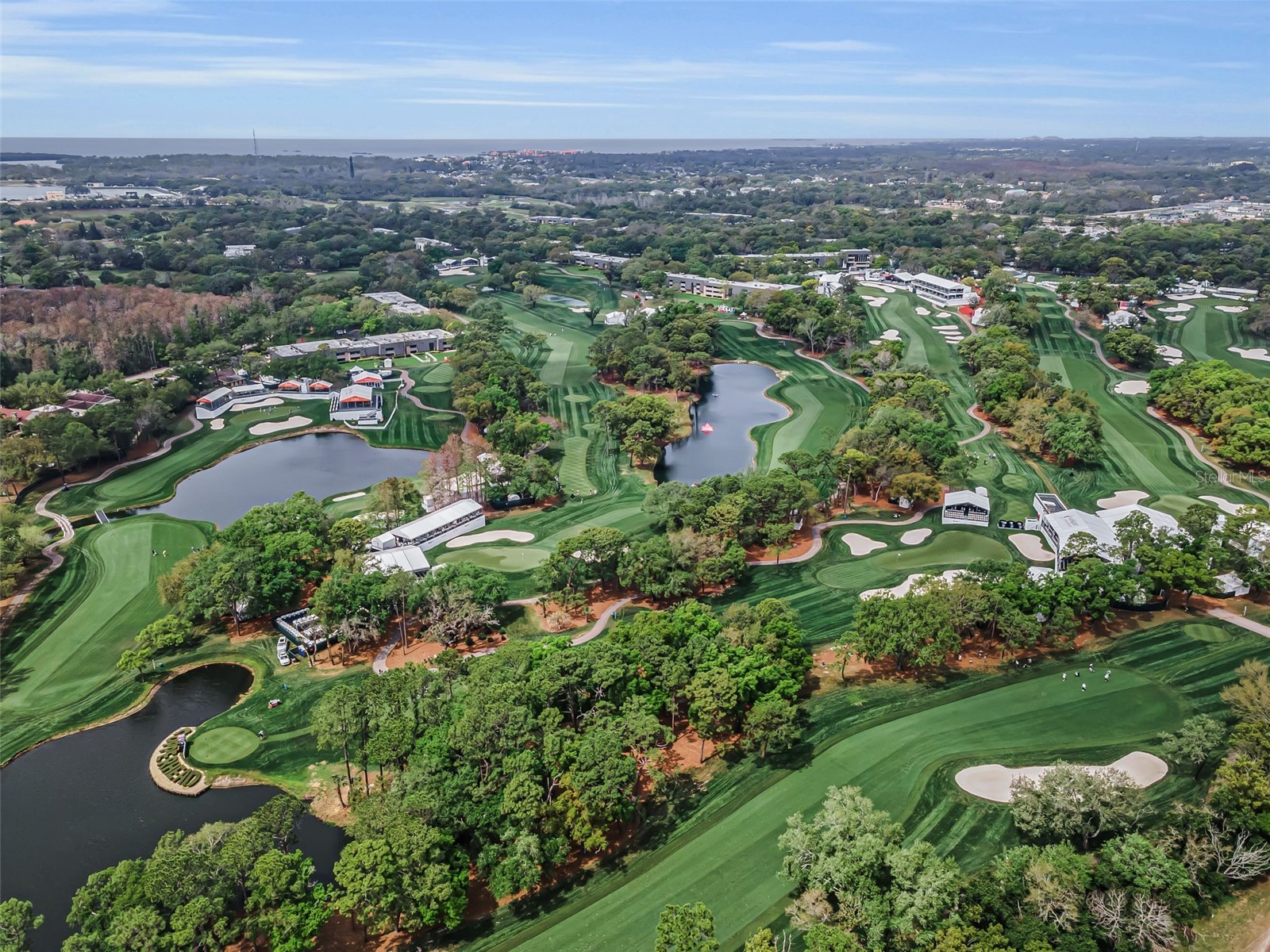2175 Oak Forest Lane Palm Harbor FL 34683 TB8488436 image47
