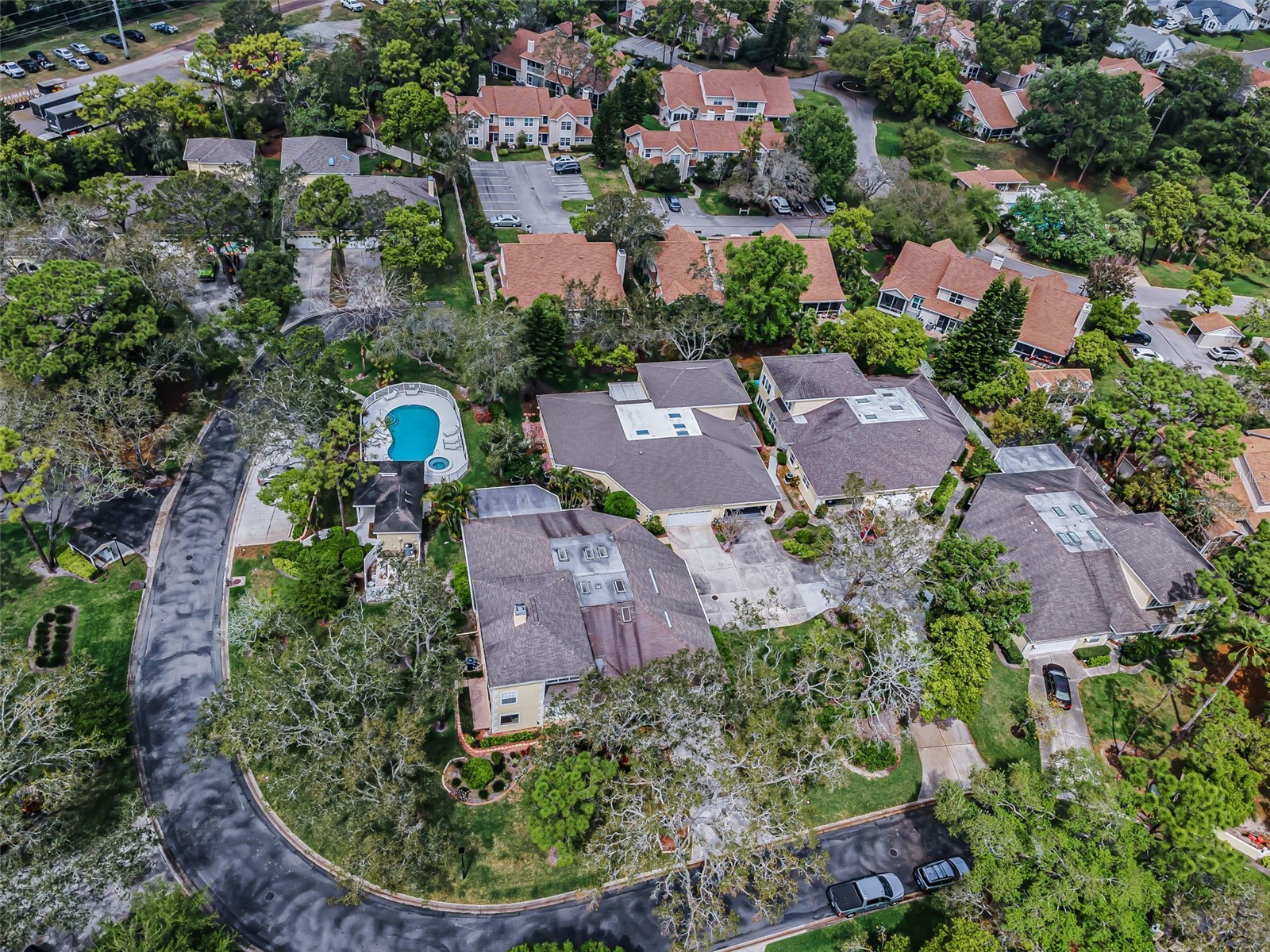 2175 Oak Forest Lane Palm Harbor FL 34683 TB8488436 image52