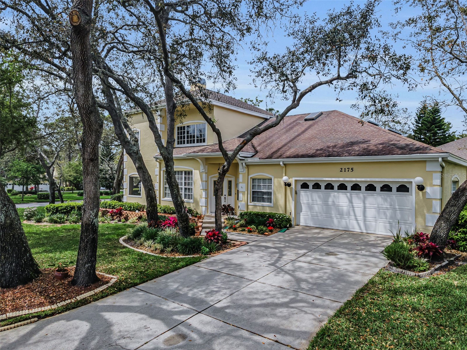 2175 Oak Forest Lane Palm Harbor FL 34683 TB8488436 image55