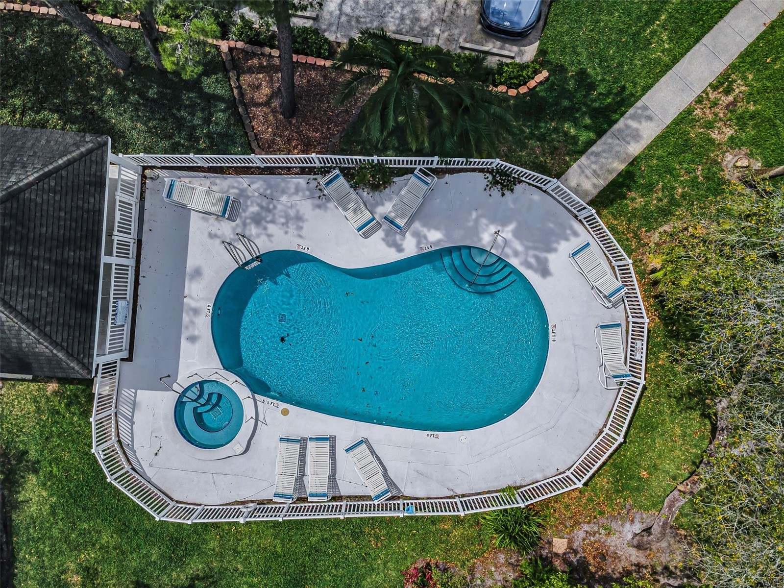 2175 Oak Forest Lane Palm Harbor FL 34683 TB8488436 image57