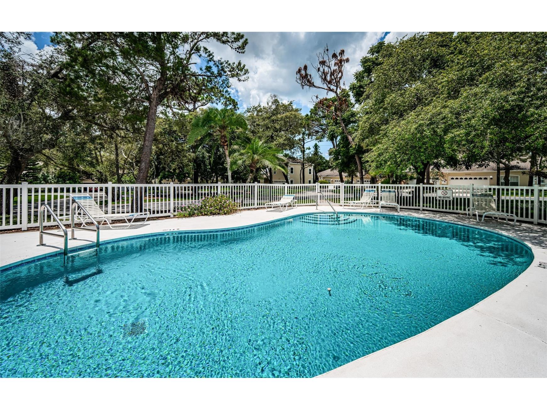 2175 Oak Forest Lane Palm Harbor FL 34683 TB8488436 image58