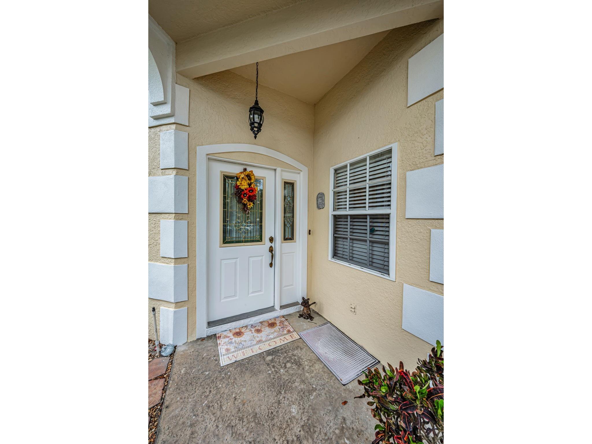 2175 Oak Forest Lane Palm Harbor FL 34683 TB8488436 image6