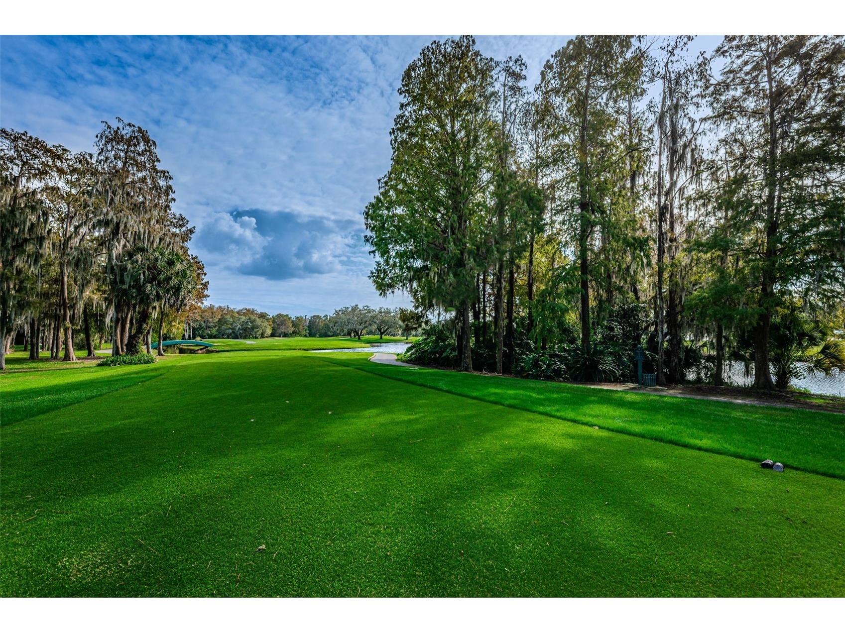 2175 Oak Forest Lane Palm Harbor FL 34683 TB8488436 image68