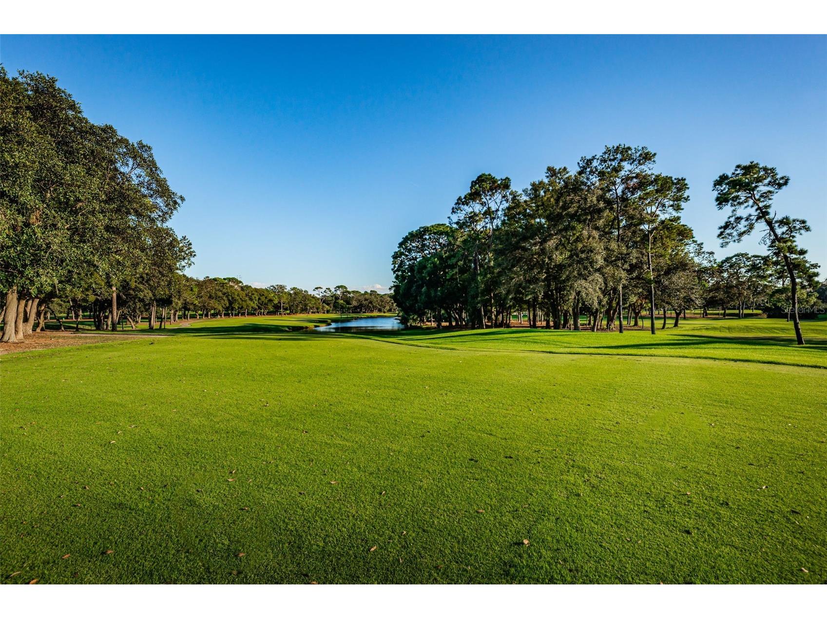 2175 Oak Forest Lane Palm Harbor FL 34683 TB8488436 image74