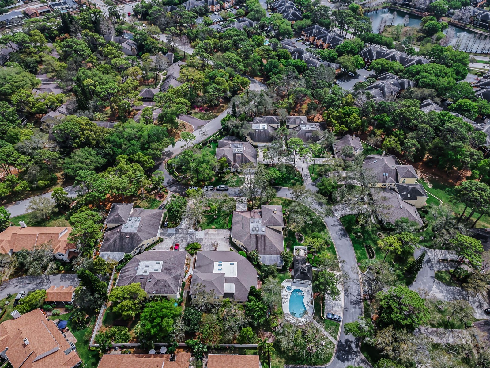 2175 Oak Forest Lane Palm Harbor FL 34683 TB8488436 image80