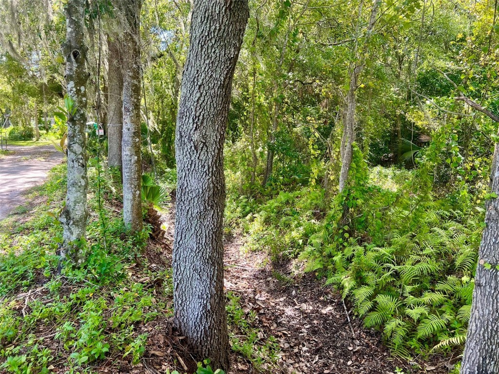 2175 W 25th Street Sanford FL 32771 O6356959 image10