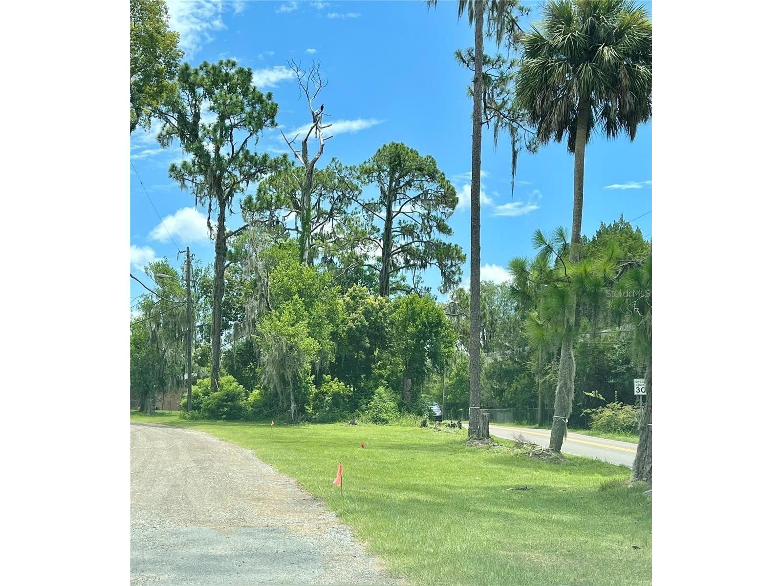 21750 Pineywood Loop Land O Lakes FL 34639 TB8409572 image1