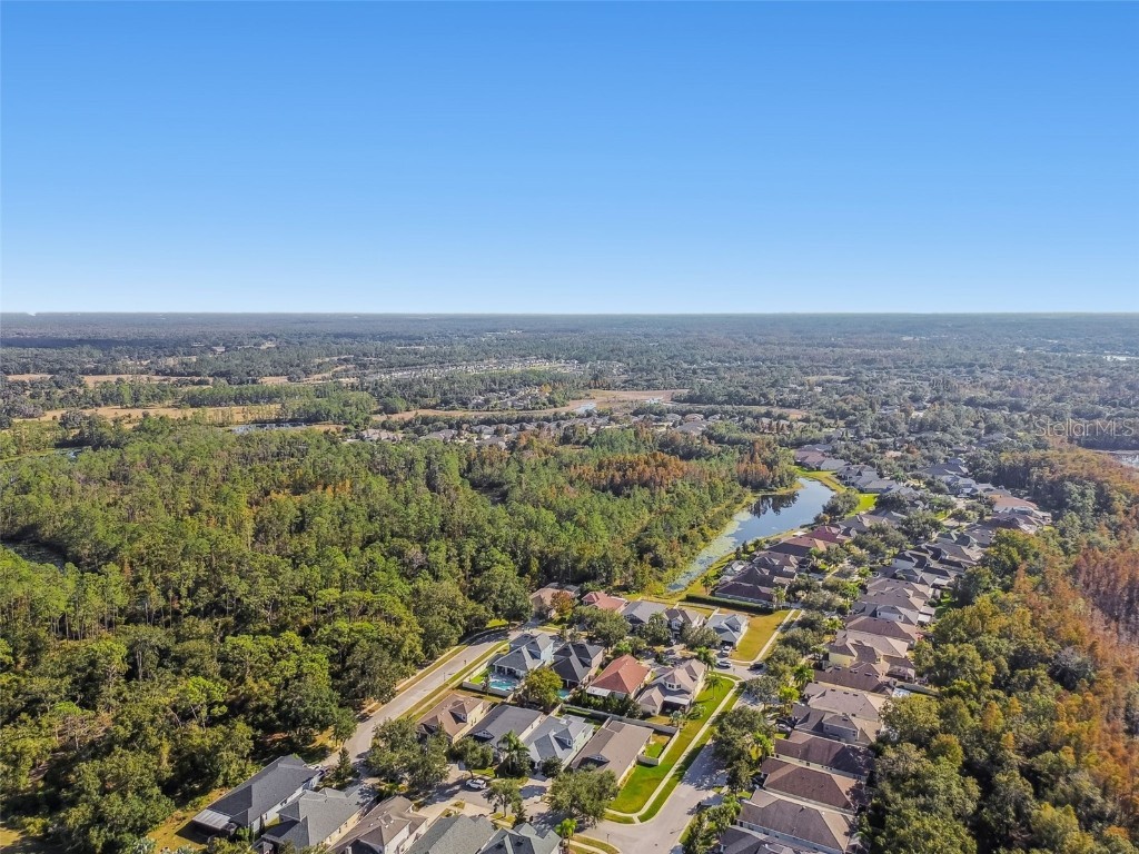 21753 Garden Walk Loop Land O Lakes FL 34637 TB8449293 image42