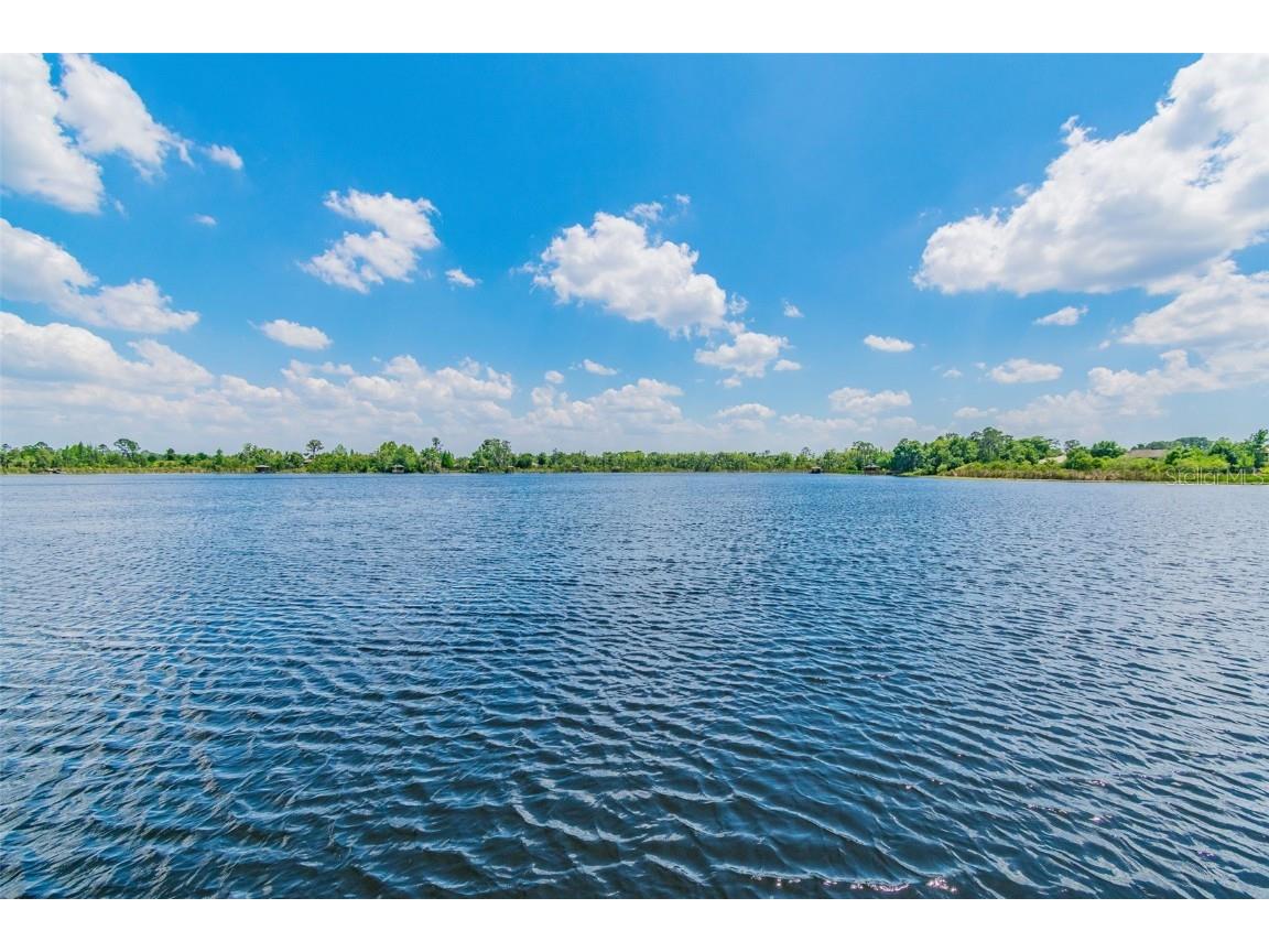 21753 Garden Walk Loop Land O Lakes FL 34637 TB8449293 image56