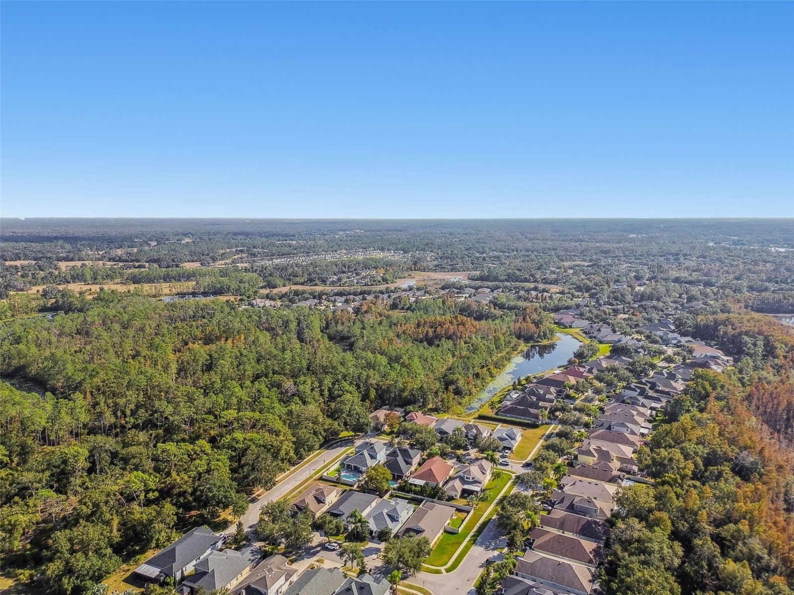 21753 Garden Walk Loop Land O Lakes FL 34637 TB8511906 image42