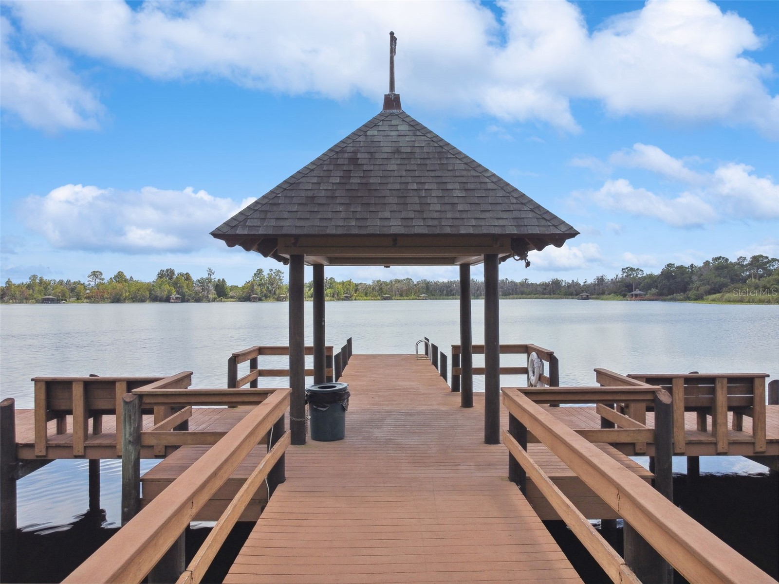 21753 Garden Walk Loop Land O Lakes FL 34637 TB8511906 image52