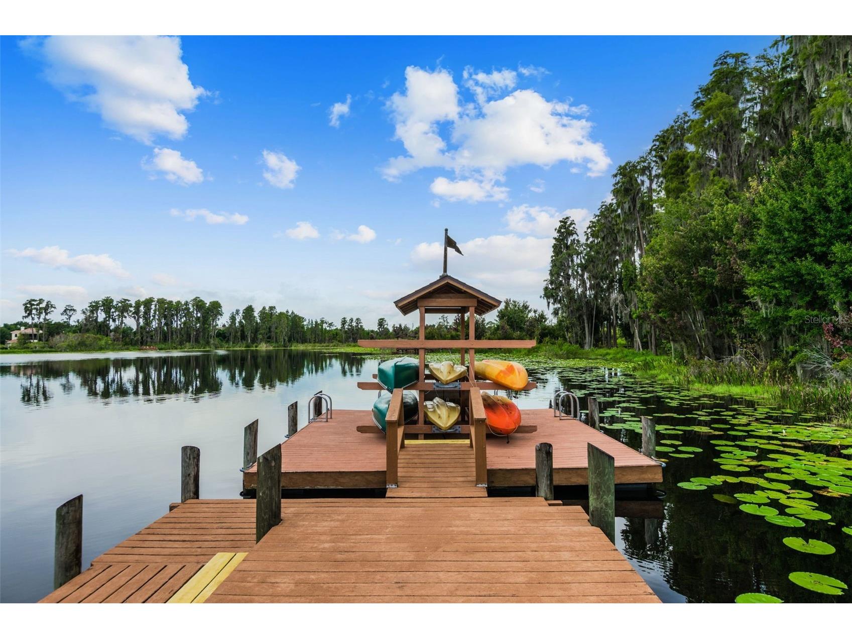 21753 Garden Walk Loop Land O Lakes FL 34637 TB8511906 image54