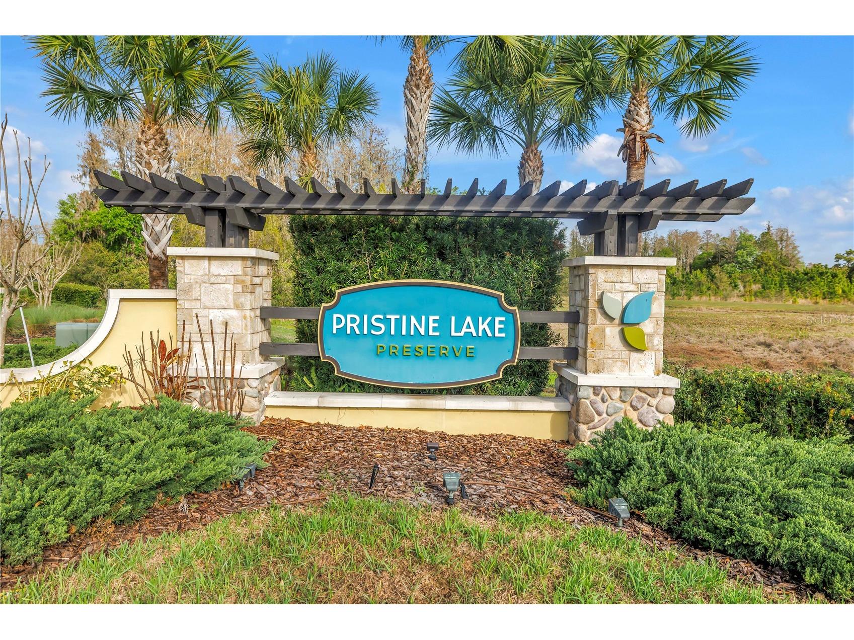 21758 Amelia Rose Way Land O Lakes FL 34637 TB8487850 image45