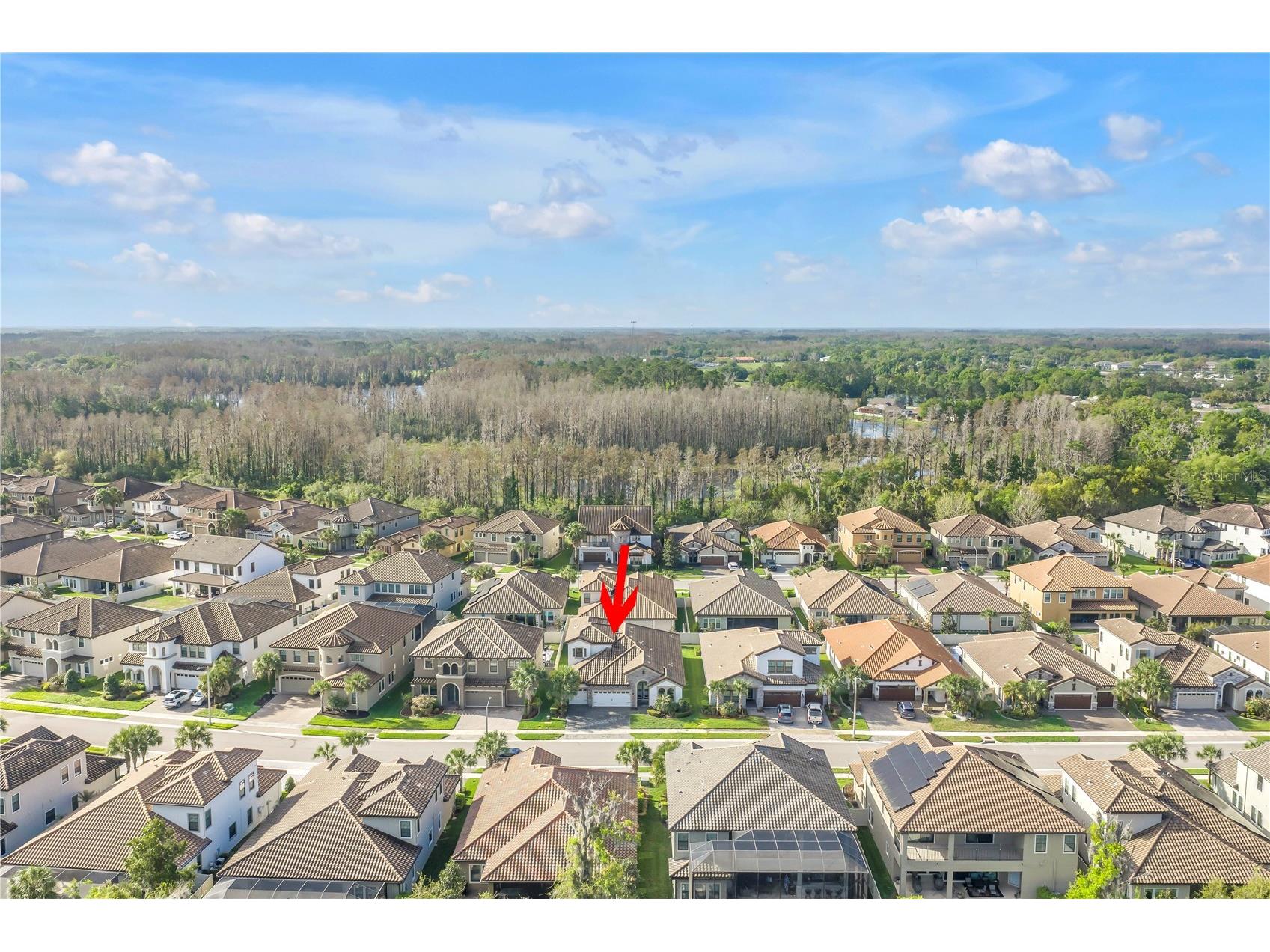 21758 Amelia Rose Way Land O Lakes FL 34637 TB8487850 image49