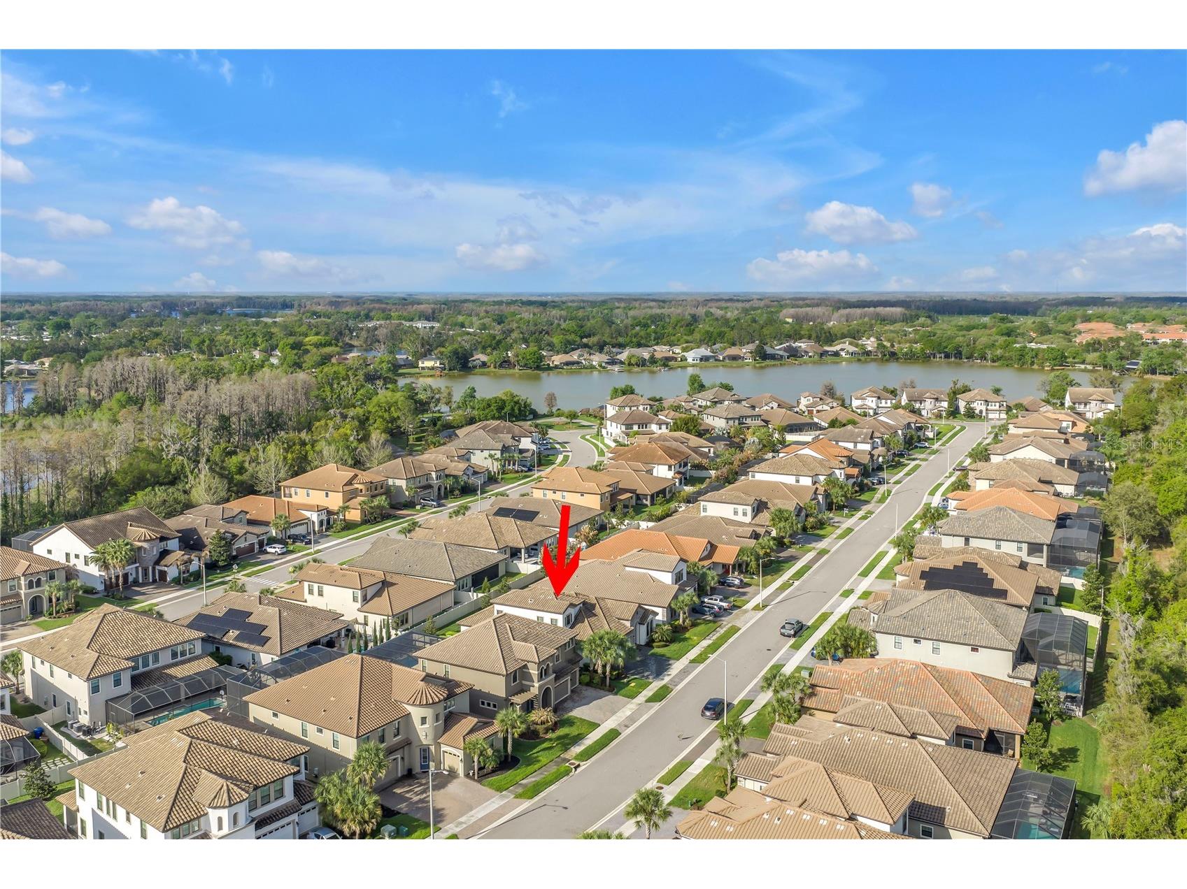 21758 Amelia Rose Way Land O Lakes FL 34637 TB8487850 image50