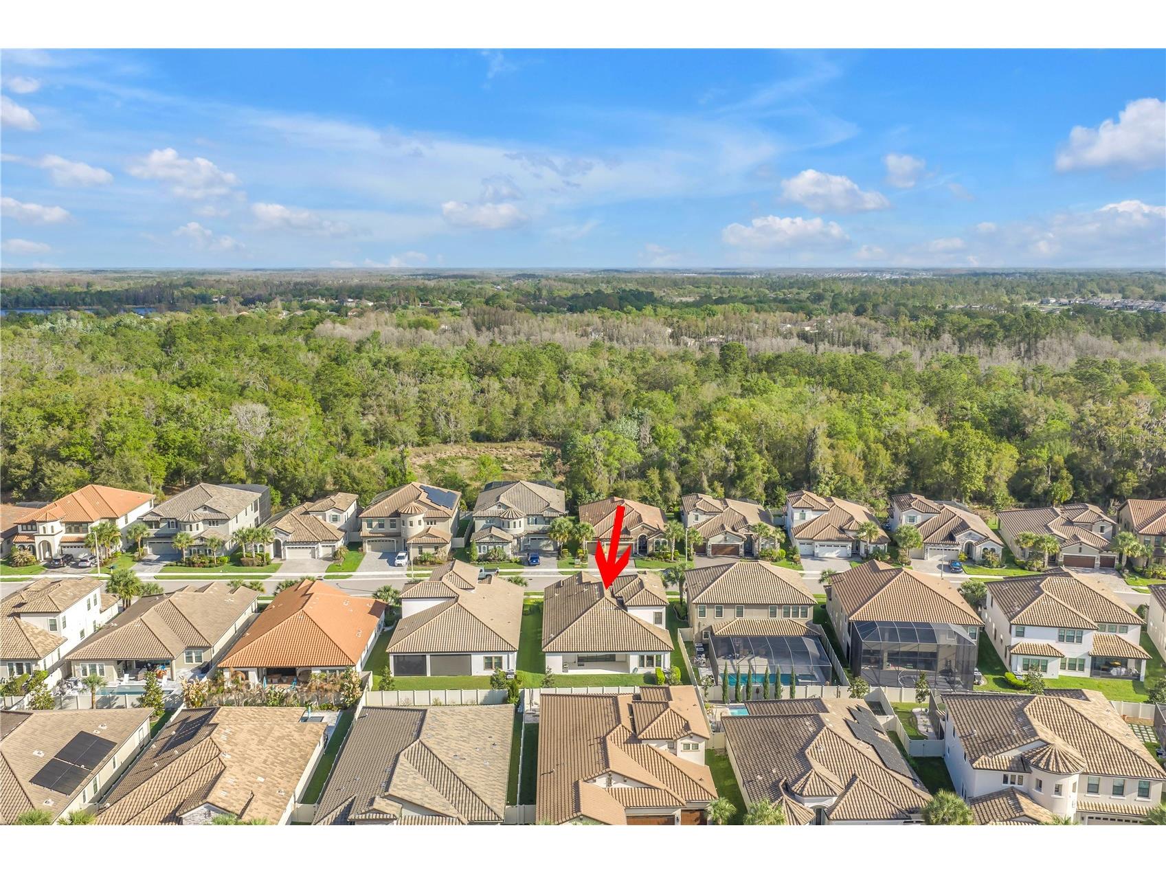 21758 Amelia Rose Way Land O Lakes FL 34637 TB8487850 image52