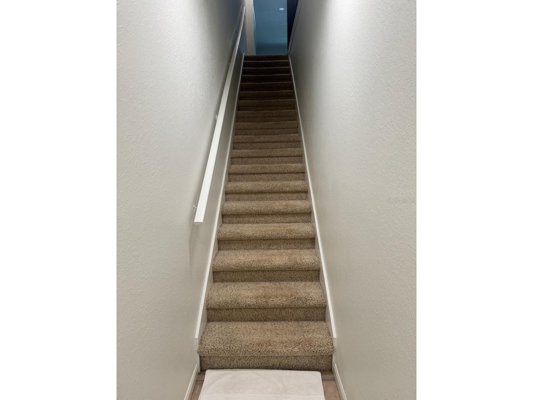 2176 Portofino Place #26-026 Palm Harbor FL 34683 TB8503173 image12
