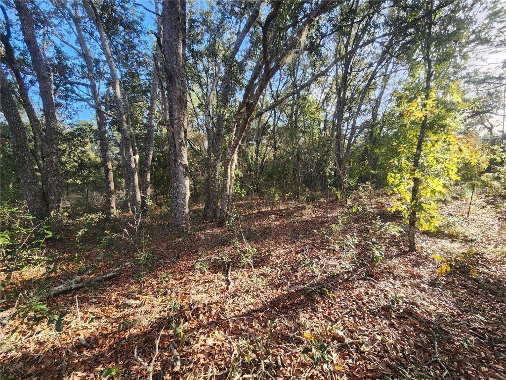 2176 W Conway Drive Citrus Springs FL 34434 OM691361 image4