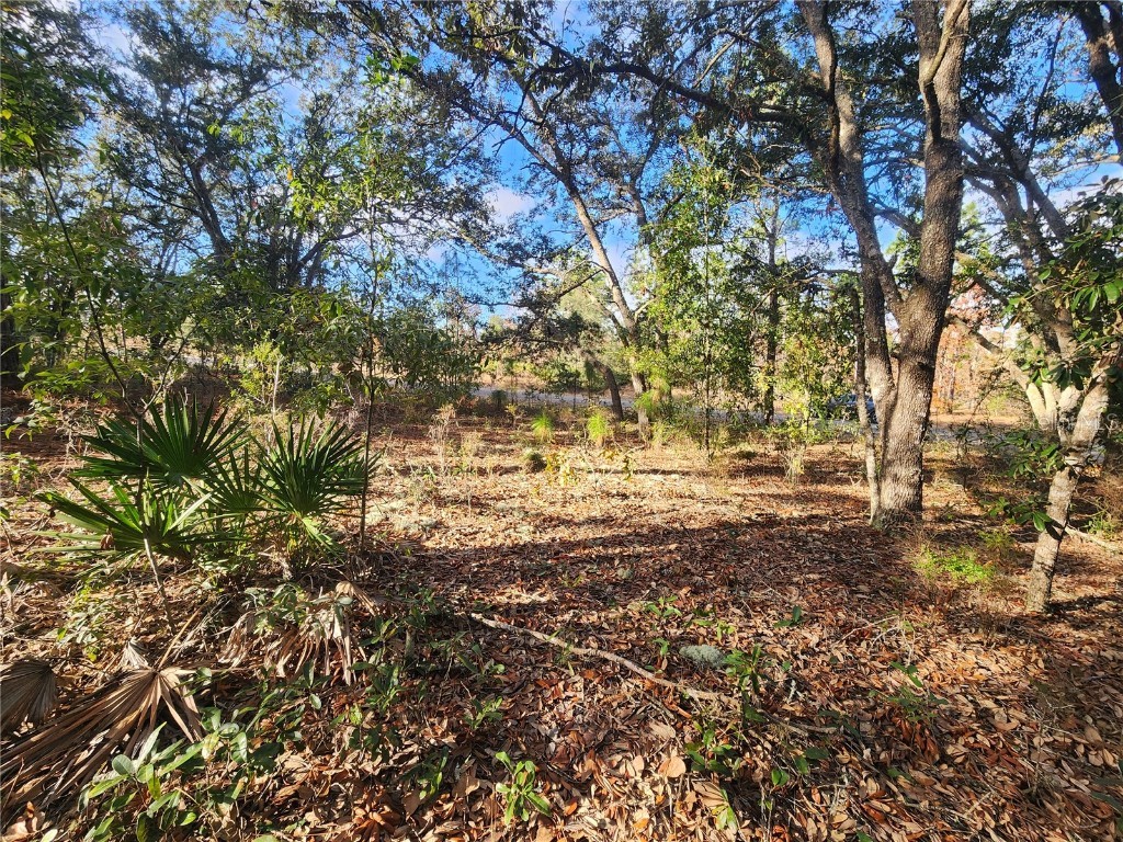 2176 W Conway Drive Citrus Springs FL 34434 OM691361 image5