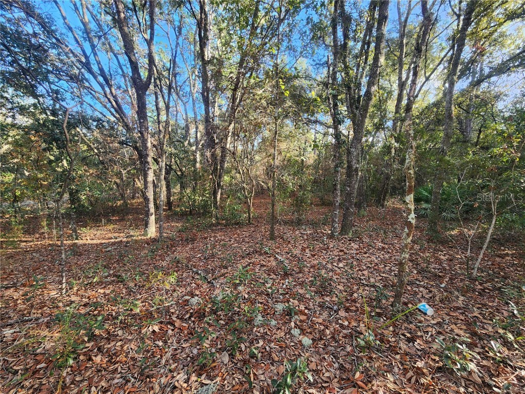 2176 W Conway Drive Citrus Springs FL 34434 OM691361 image9