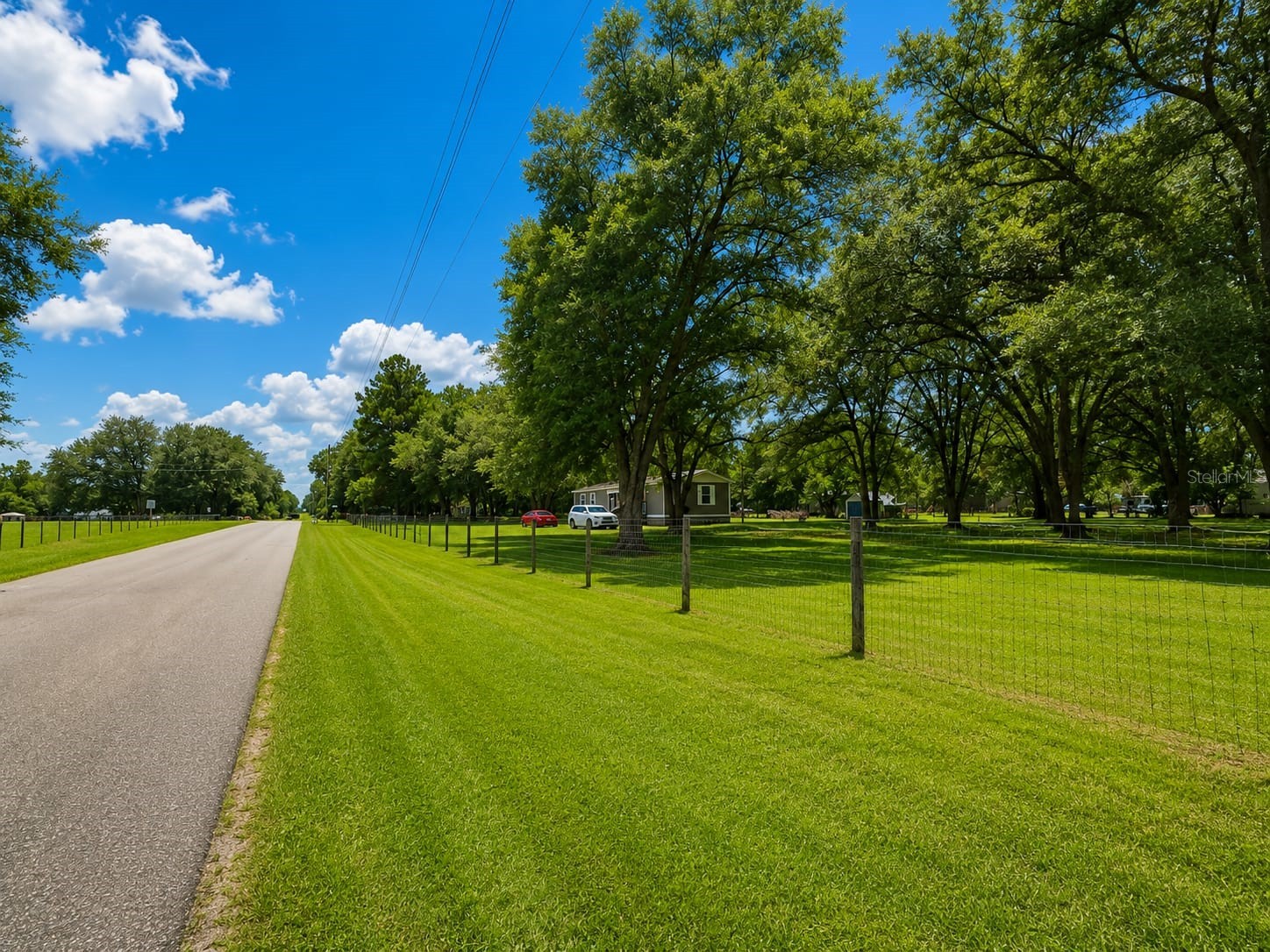 21771 SE 62nd Street Morriston FL 32668 OM728057 image21