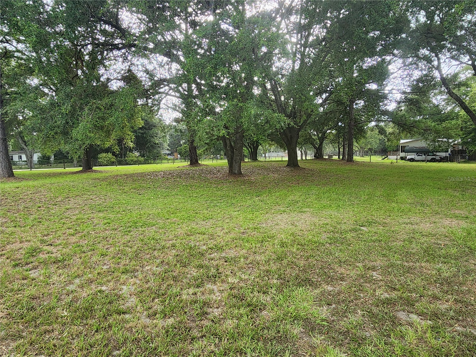 21771 SE 62nd Street Morriston FL 32668 OM728057 image25